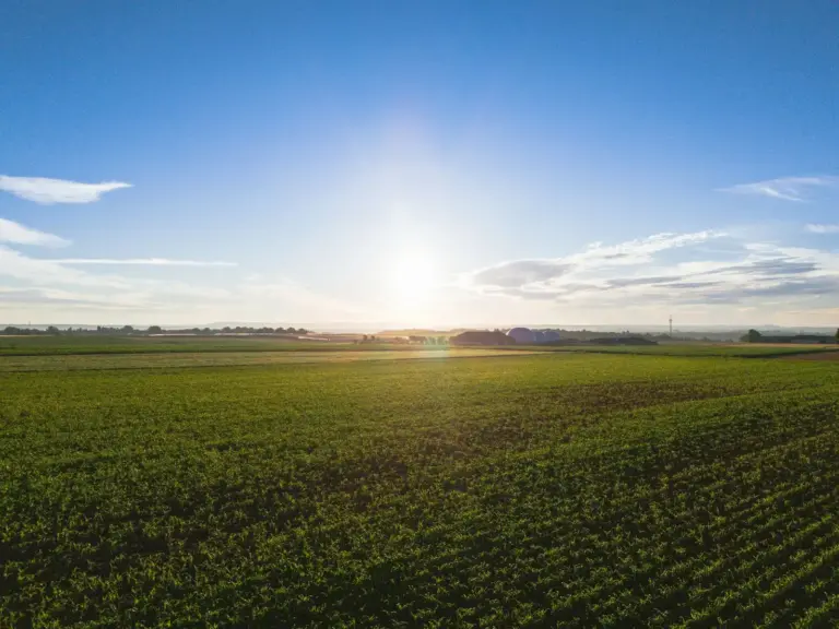 Ackerland aus der Luft bei Sonnenaufgang