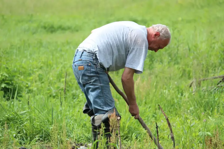 Älterer Mann bei der Arbeit im Garten