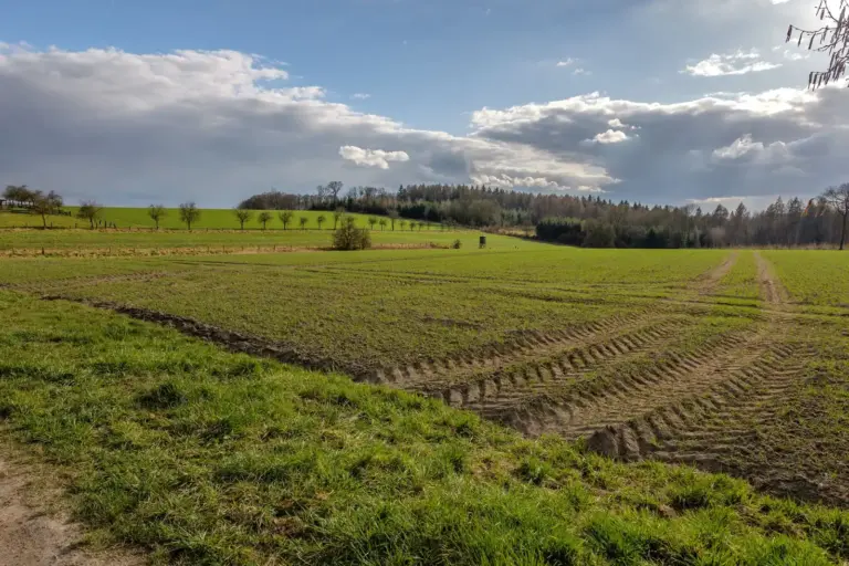 Gepflügtes Feld unter bewölktem Himmel