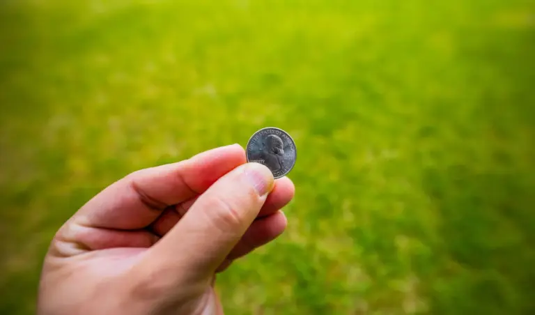 Hand hält eine kleine Silbermünze vor grünem Gras