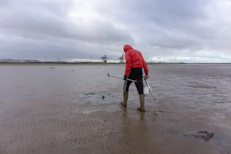 Mann in roter Jacke mit Ausrüstung am Strand