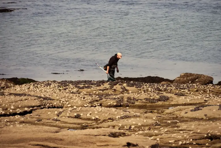 Mann sucht bei Ebbe an einem steinigen Strand