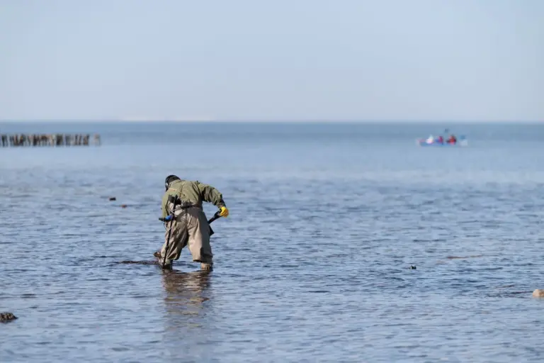 Person sucht im flachen Küstenwasser