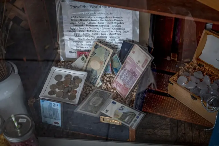 Sammlung alter Münzen und Banknoten