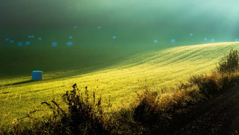 Sondengänger mit Metalldetektor auf einem Feld im Abendlicht