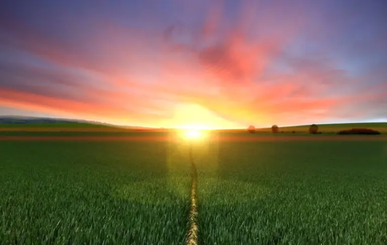 Sonnenuntergang über grünem Ackerland