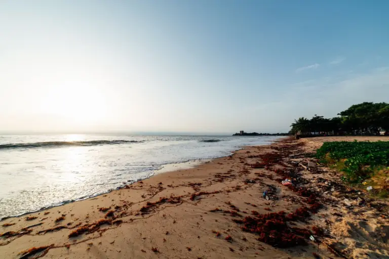 Strand mit Seetang und Wellen bei Sonnenaufgang